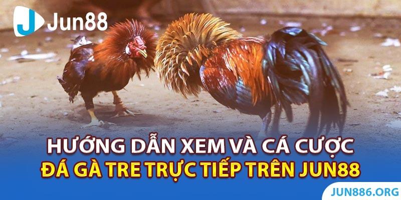 Khám phá thế giới trò chơi game ma hấp dẫn và đầy hồi hộp