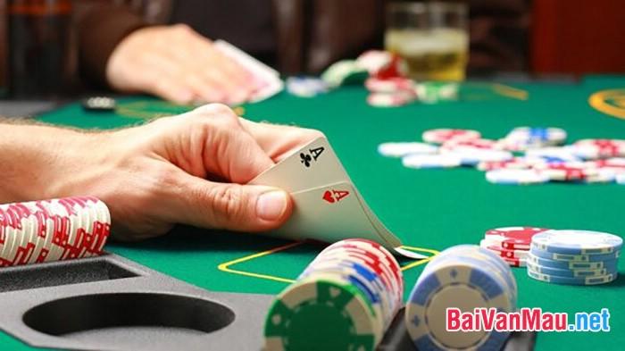 Khám phá rùa tiên tri dự đoán bóng đá hôm nay chính xác cho người chơi